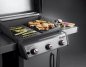 Preview: Weber Gusseiserne Wendeplatte für Spirit 300 Serie