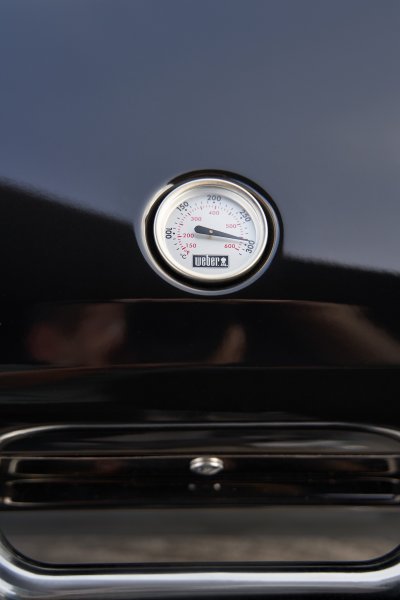 Weber Elektrogrill Lumin mit Stand Black